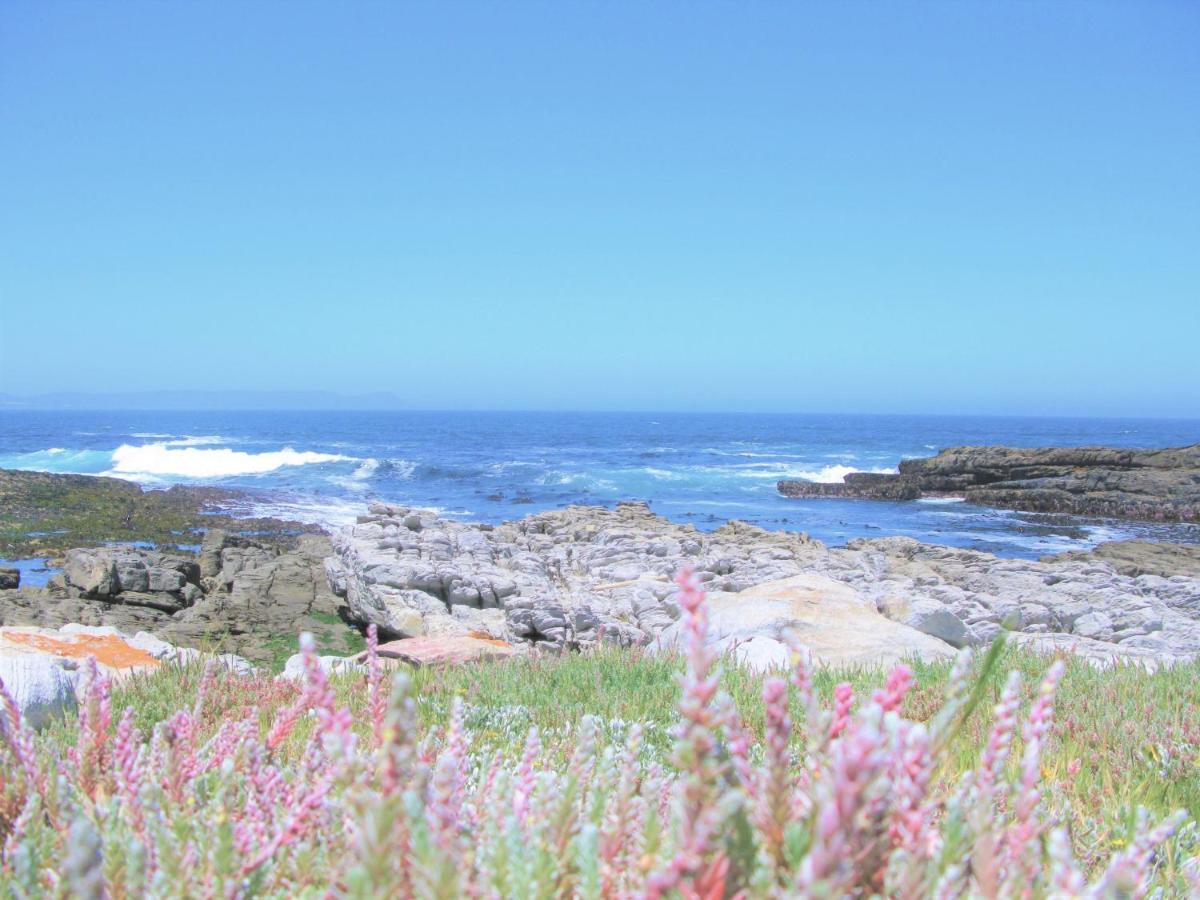 Beachfront House - Hermanus Whale View Exterior foto