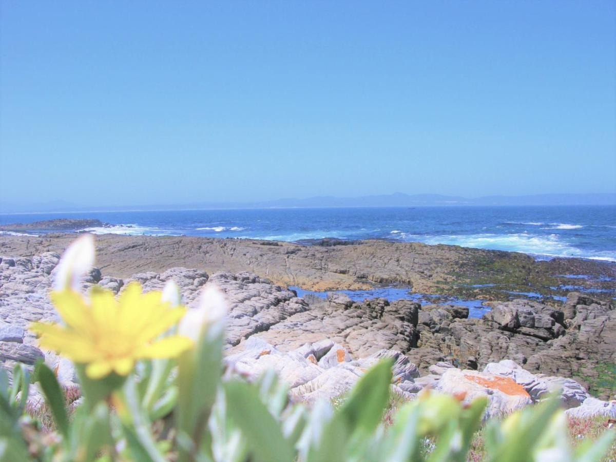 Beachfront House - Hermanus Whale View Exterior foto