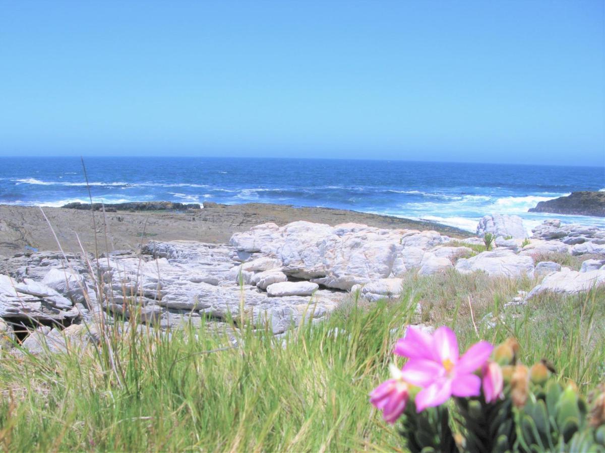 Beachfront House - Hermanus Whale View Exterior foto