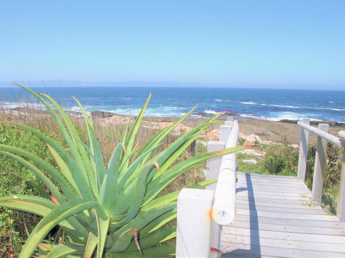 Beachfront House - Hermanus Whale View Exterior foto