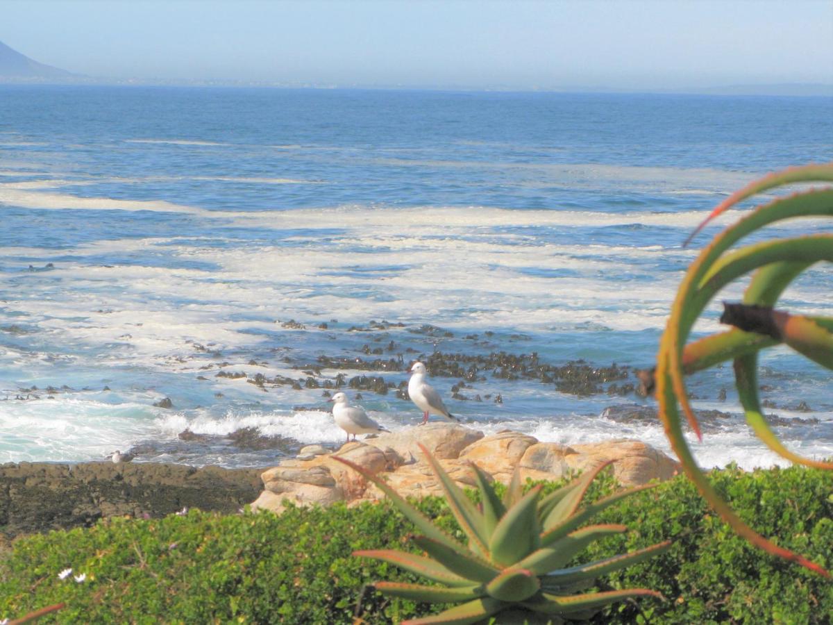 Beachfront House - Hermanus Whale View Exterior foto