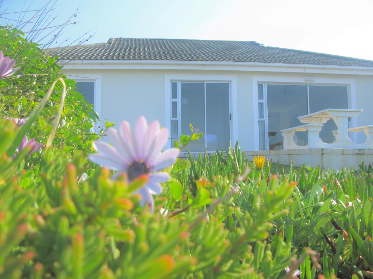 Beachfront House - Hermanus Whale View Exterior foto